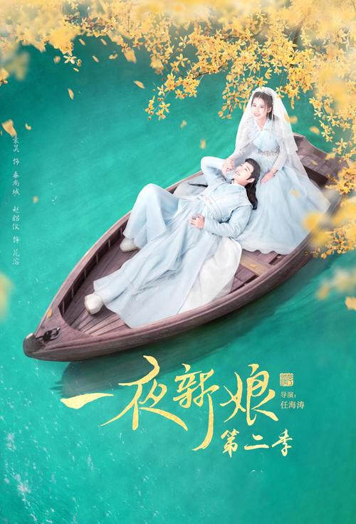 一夜新娘第二季全集免费观看 | 高清完整版在线追剧 | 古装甜宠大结局抢先看