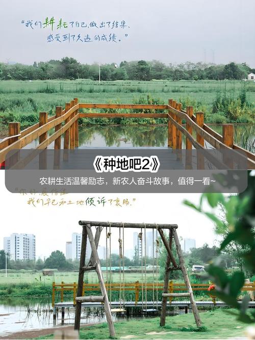 影视大全综艺免费版全免费观看:热门综艺全集在线高清播放
