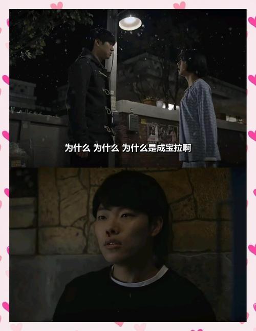 请回答1988免费观看全集 | 高清中字资源 | 双门洞怀旧韩剧在线看