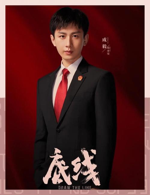 底线电视剧在线观看完整版免费 | 靳东成毅法庭对决 | 最高法指导案例改编