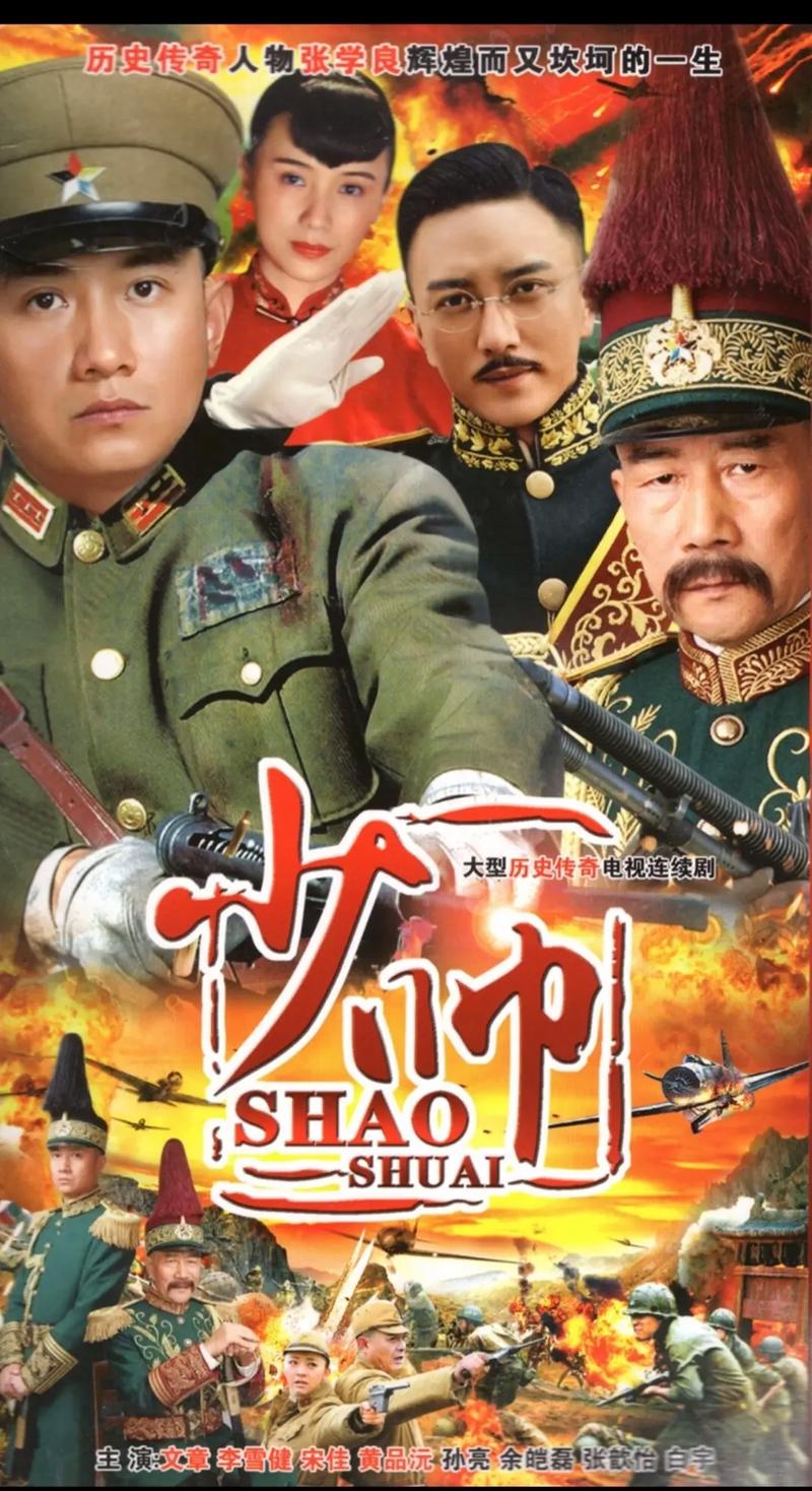 少帅48集免费完整版在线看 | 李雪健文章主演历史大剧 | 高清全集资源