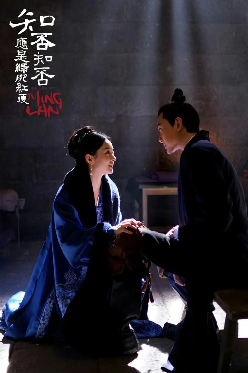 《知否》免费观看在线全集|高清资源无删减|全集完整版在线播放