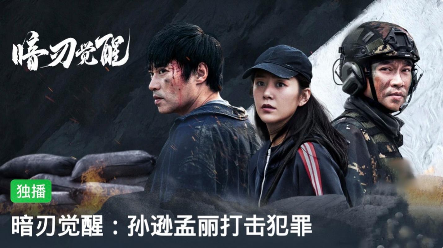 暗刃觉醒电视剧全集免费观看 | 零成本追剧入口 | 暗刃觉醒高清在线资源