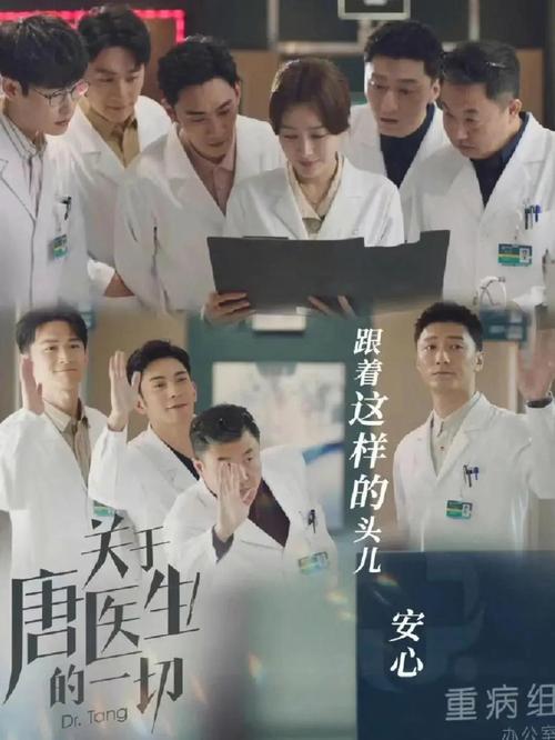 关于唐医生的一切电视剧免费观看 | 医疗职场剧在线看 | 秦岚主演全集资源