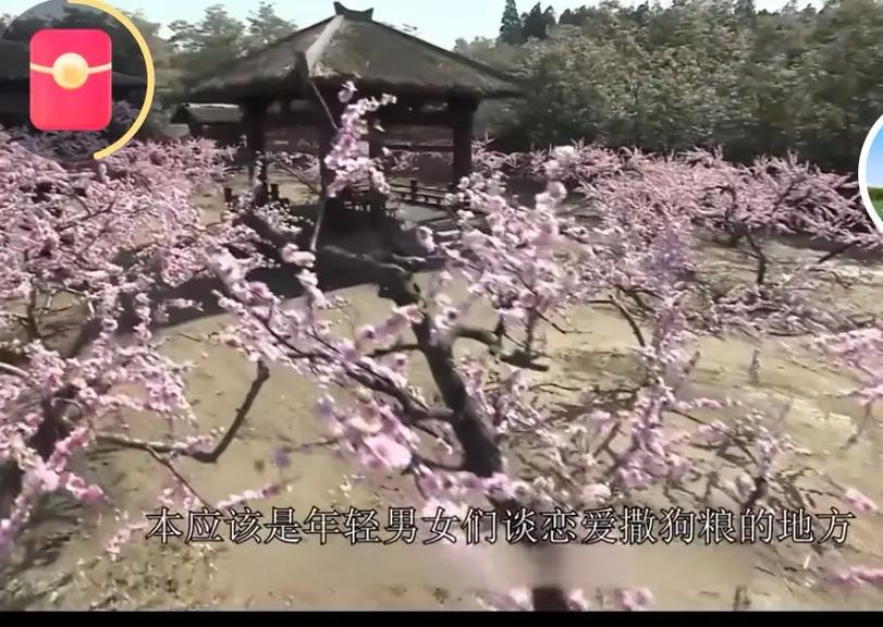 完美世界动漫在线观看全集免费播放|高清画质、无广告弹窗、同步更新至大结局
