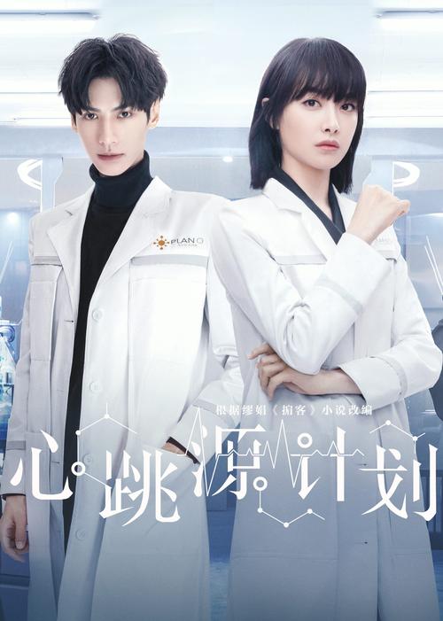免费观看《平凡的荣耀》全集：职场逆袭与成长热剧（在线高清、完整版、无删减）