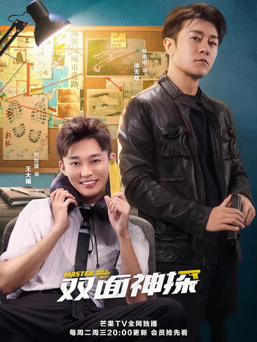 《双面神探》电视剧免费观看完整版|悬疑刑侦剧全集在线|徐璐王一博搭档破案