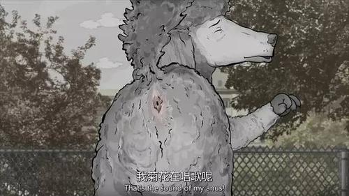 三级动画视频免费观看 | 高清无删减动画资源在线观看平台 | 中文字幕成人动画番剧全集