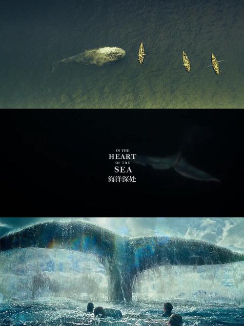 免费观看《海洋深处》完整版|深海灾难真相|鲸鱼复仇真实事件改编