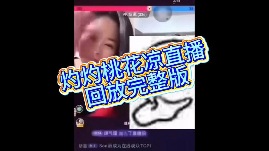 桃花直播免费观看高清入口 | 免费观看直播平台 | 热门真人秀在线看