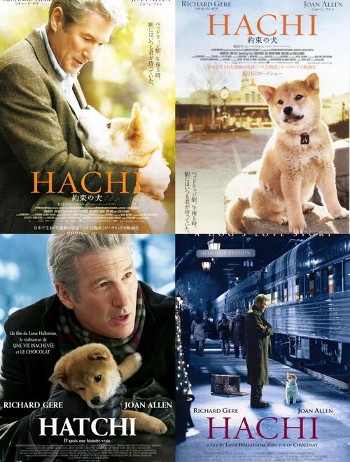 忠犬八公的故事电影免费观看完整版 | 催泪忠犬电影高清在线 | 狗狗与主人的感人故事