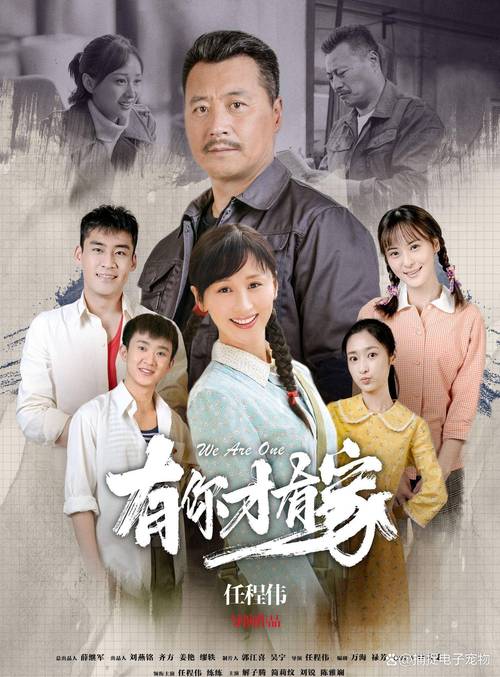 有你才有家电视剧免费观看全集 | 家庭情感剧在线看(免费资源/大结局剧情)