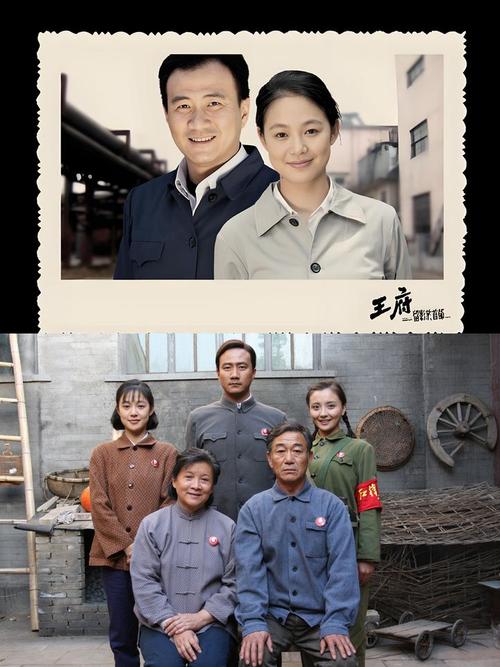 《金婚风雨情》免费观看全剧:跨越半世纪的婚姻经营之道与情感纠葛