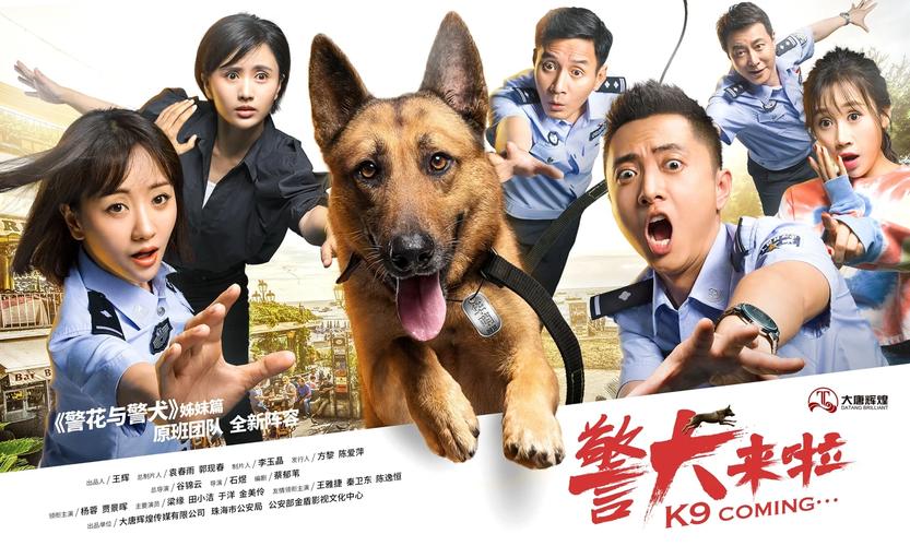 警犬来了在线观看免费全集完整版|警犬训练日常与刑侦破案全程高能