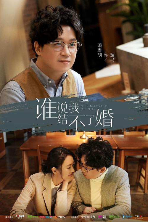 谁说我结不了婚电视剧免费观看:潘粤明童瑶情感博弈,大龄剩女婚恋观深度解析(大结局/未删减版/在线资源)