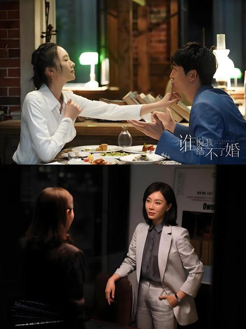 谁说我结不了婚电视剧免费观看:潘粤明童瑶情感博弈,大龄剩女婚恋观深度解析(大结局/未删减版/在线资源)