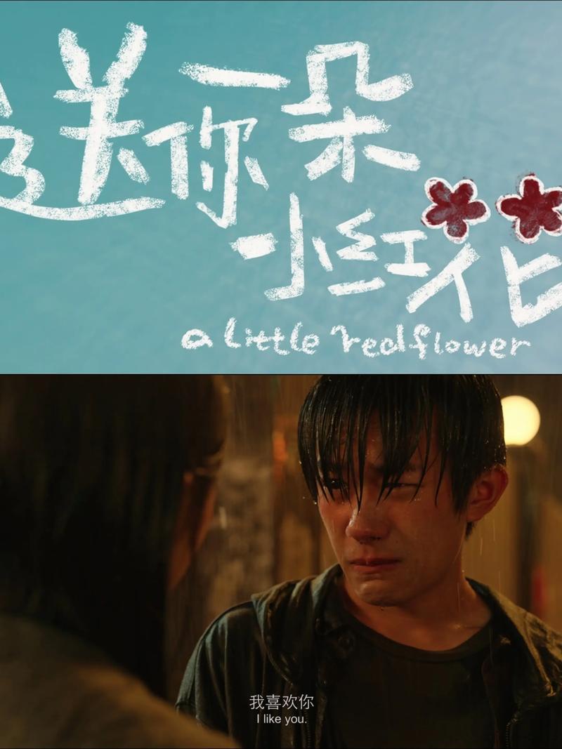 送你一朵小红花免费观看天堂完整版 | 在线播放资源、高清无删减、温情催泪电影推荐