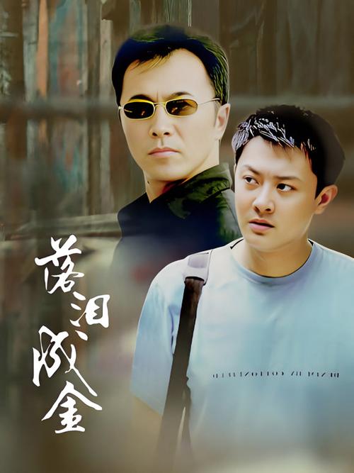 落泪成金电视剧全集免费观看 | 高清资源在线播放 | 热门农村情感大剧完整版