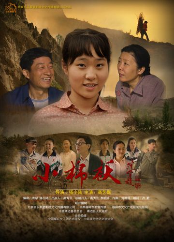 《小棉袄》电视剧免费观看全集在线播放，暖心亲情剧推荐，高清资源抢先看