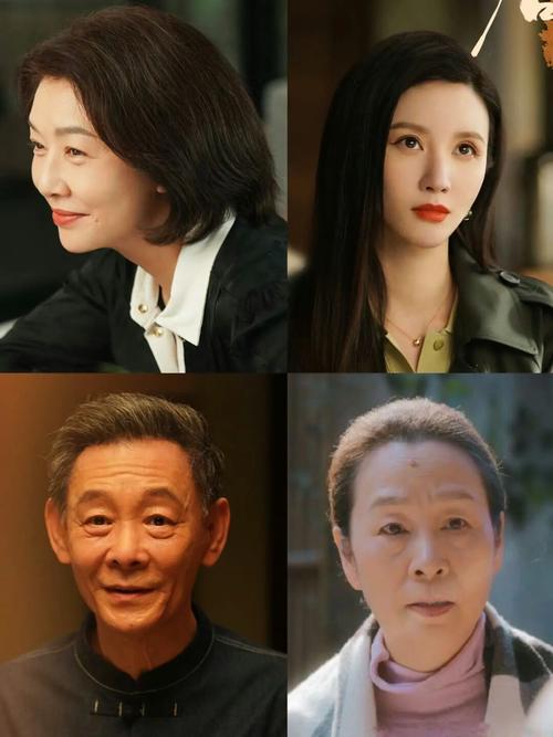 后浪电视剧40集免费观看完整版 | 在线资源、最新剧情、全集下载