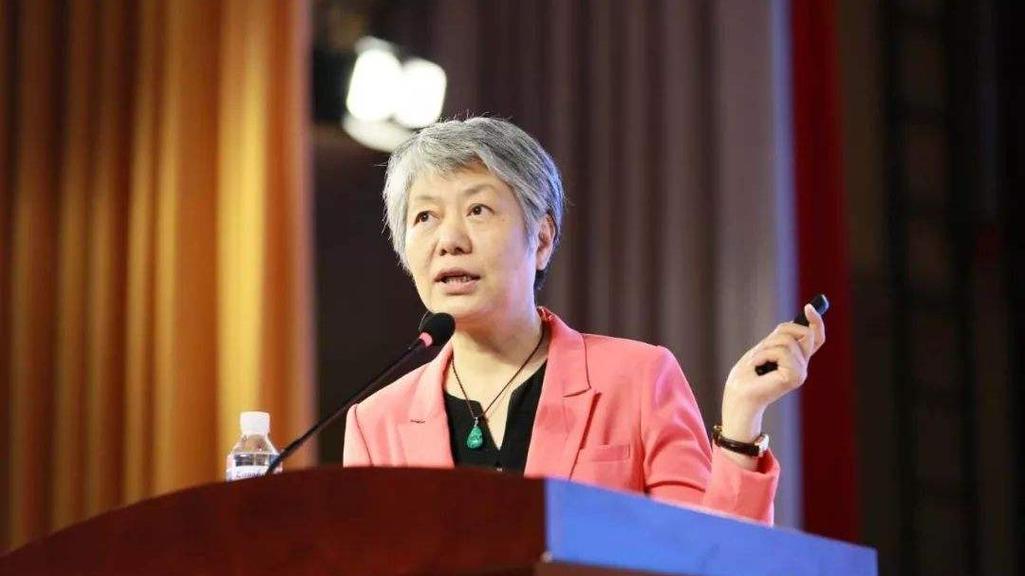 李玫瑾讲座大全视频免费观看 | 育儿心理分析 | 青少年教育方法 | 犯罪心理学公开课