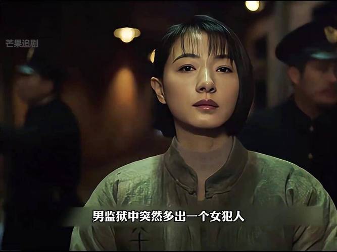 新世界电视剧在线观看免费完整版 | 孙红雷谍战大剧全集资源 | 高清无删减版免费追剧