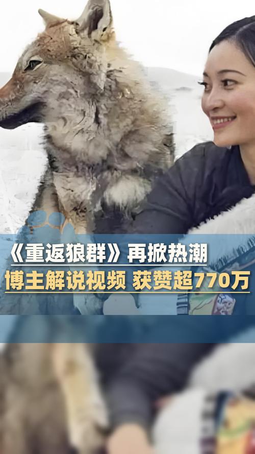 **《流浪地球2》在线观看免费高清完整版:科幻巨制与人性光辉的终极碰撞 | 免费观影 | 高清资源**