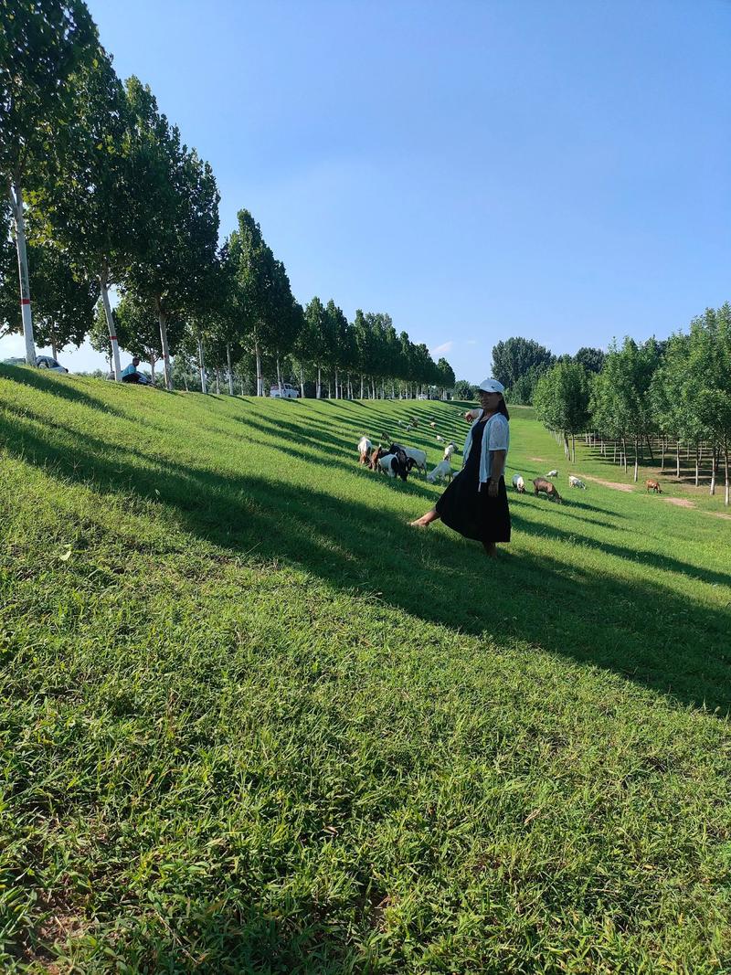 基于“青青青草国产免费观看”生成的SEO标题如下:
**青青青草国产免费观看高清资源 | 最新国产热播剧集在线完整版 | 无广告流畅追剧体验**