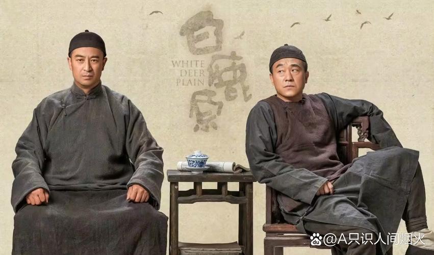 白鹿原电视剧免费观看56集全集在线资源,带你重温白鹿两大家族恩怨情仇的史诗级巨作