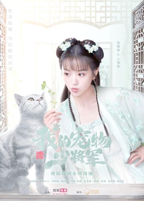 一生一世电视剧全集免费观看 | 在线高清完整版 | 周生辰时宜甜蜜虐恋一口气追完