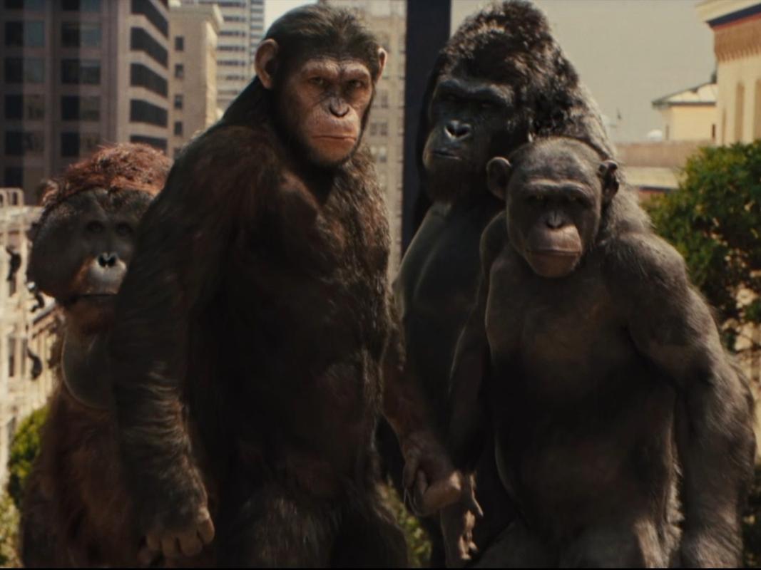 免费在线观看《猩球崛起1》高清完整版 | 猿族崛起起源 | 科幻经典重温 | 在线免VIP