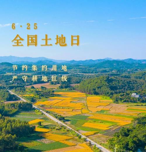 大地资源高清免费观看 - 高清无广告在线观看平台 | 免费影视资源 | 大地资源最新入口