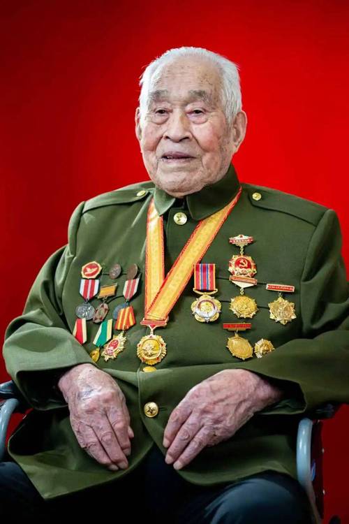 老兵在线观看免费|完整版高清资源|老兵2024最新剧集抢先看