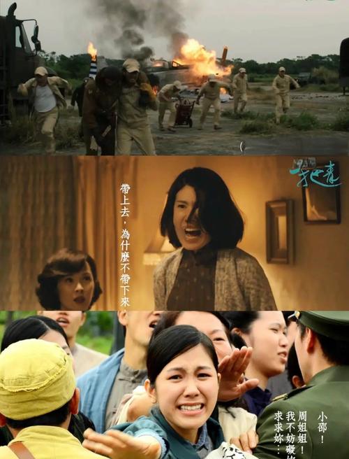 《一把青》全集高清免费在线观看 | 经典台剧高清资源 | 一把青高清完整版