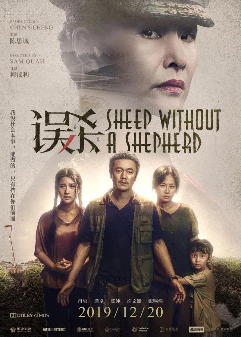 误杀1完整版国语免费观看 - 悬疑剧情深度解析、肖央演技炸裂、家庭伦理犯罪片推荐