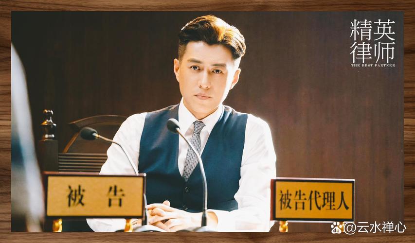 精英律师电视剧免费观看 | 完整版在线资源 | 靳东蓝盈莹职场对决 | 高清无删减