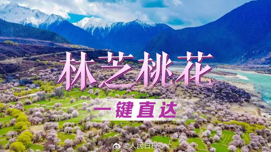 桃花直播免费观看高清入口 | 免费观看直播平台 | 热门真人秀在线看