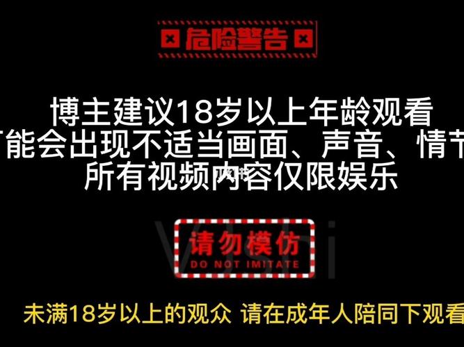 18岁末年禁止观看免费 - 18禁内容访问限制与年龄验证系统详解