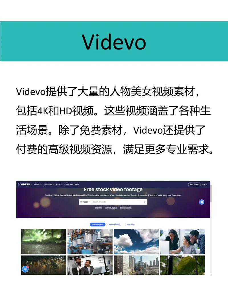 美女视频免费观看的网站 - 在线高清资源大全|免费美女视频|无广告播放平台