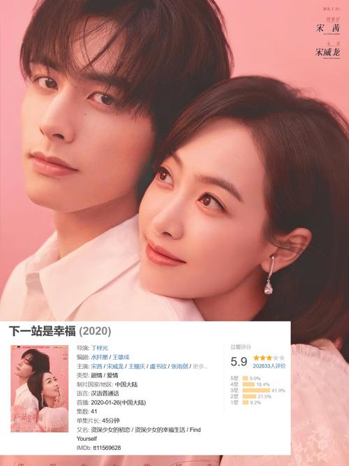 《下一站是幸福》电视剧免费观看完整版 | 宋茜宋威龙姐弟恋甜宠剧在线看