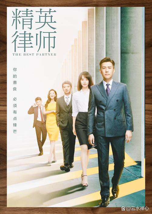 精英律师电视剧免费观看 | 完整版在线资源 | 靳东蓝盈莹职场对决 | 高清无删减