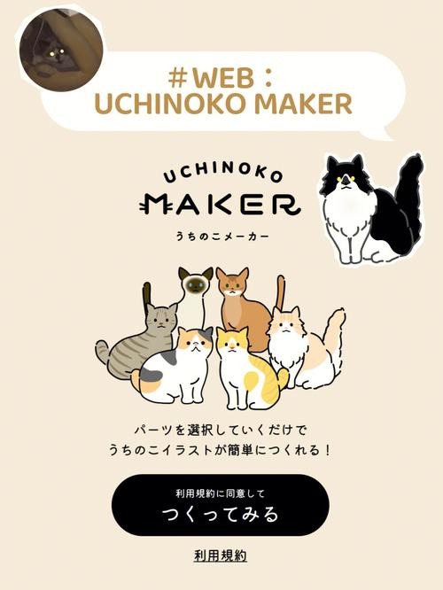 猫咪网免费观看全集资源在线追剧,高清画质无广告畅享观影体验