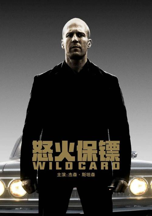 怒火保镖免费观看完整版 | 在线高清无删减 | 动作惊悚长尾资源
