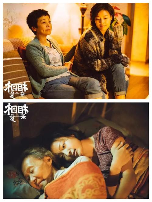 相爱相亲在线观看免费 | 高清完整版资源 | 免费追剧长尾关键词