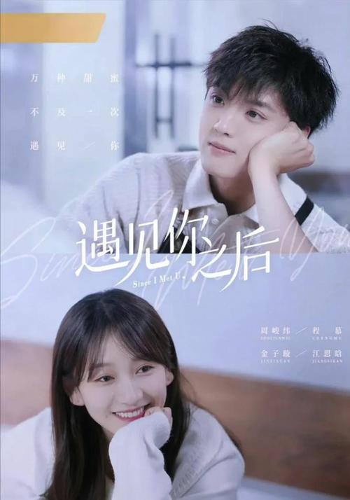 《遇见你之后》全集免费观看,2024高甜恋爱剧在线追剧,资源无删减
