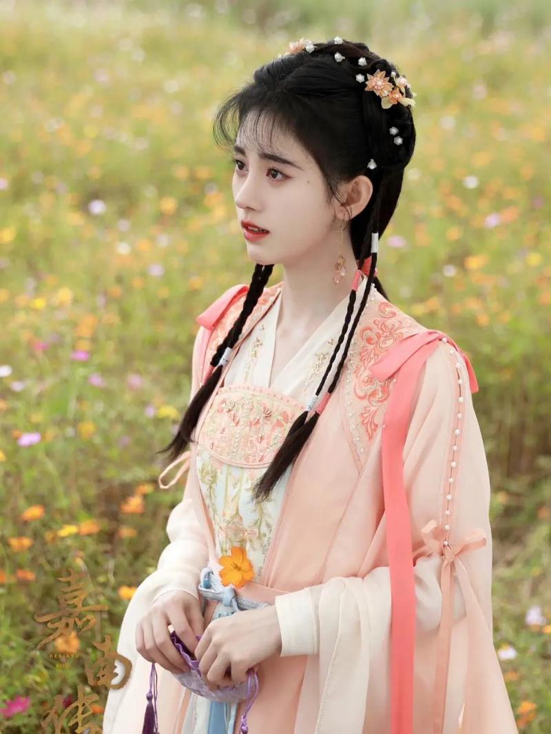 《嘉南传》电视剧免费观看全集在线 | 嘉南传高清资源 | 古装甜宠剧免费追剧
