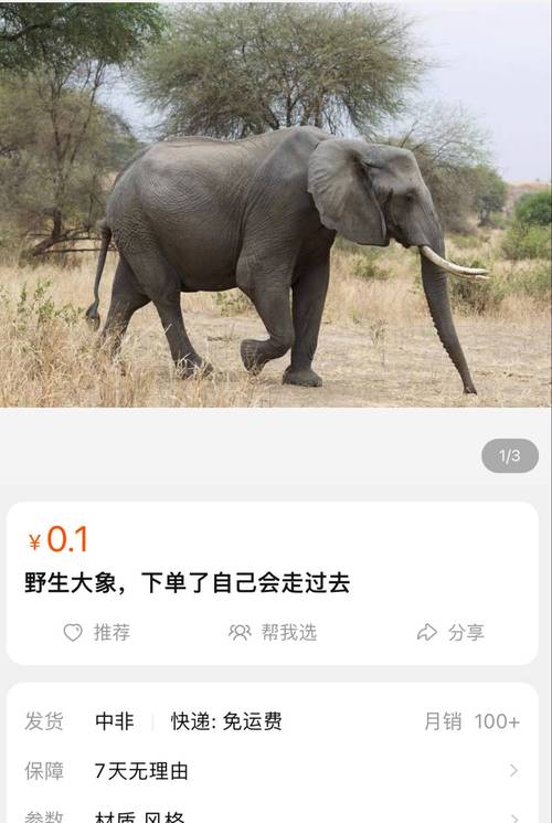 大象蕉在线观看免费视频 | 高清影视资源、免费长视频、在线流畅播放
