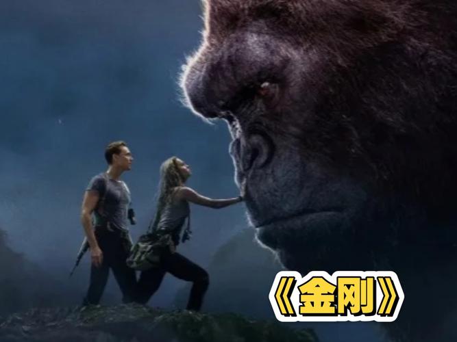 金刚在线观看免费 | 高清完整版 | 免费在线观看全片