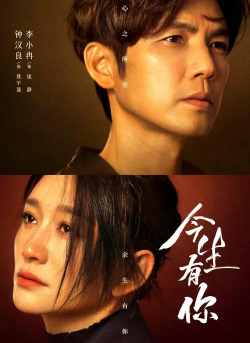 《今生有你》免费观看全集 | 钟汉良李小冉虐恋 | 高清在线 | 大结局抢先看