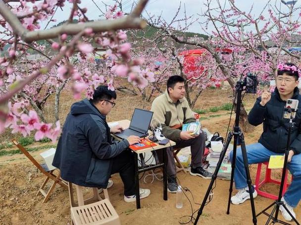 桃花直播免费观看在线 - 高清无卡顿直播平台,热门主播互动,精彩内容实时畅享